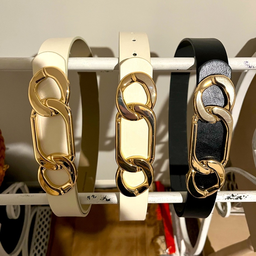 NWT Express Statement Belt